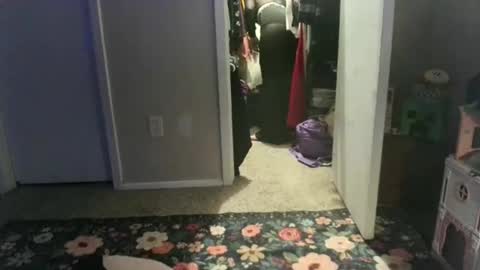 careerwife online show from 04.17.26