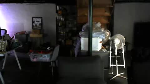 Carl online show from 12.30.24
