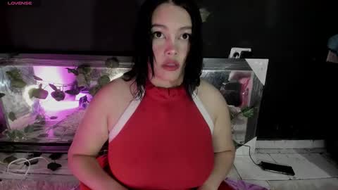 carolina dorothy online show from 02.01.26