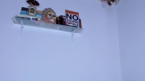 Snapshot of carolina_ml chatting on 11.04.25 CarolinaM online show from 11.04.25