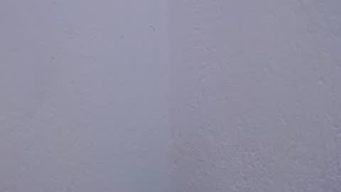 Snapshot of carolina_zabala_19 chatting on 07.18.26 carolina_zabala_19 online show from 07.18.26