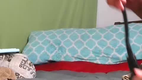 Snapshot of carolinayungin96 chatting on 11.11.25 carolinayungin96 online show from 11.11.25