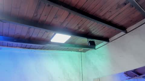 Snapshot of caroline_palmerr chatting on 02.01.26 Carolina online show from 02.01.26