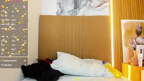 OSNA online show from 03.21.26