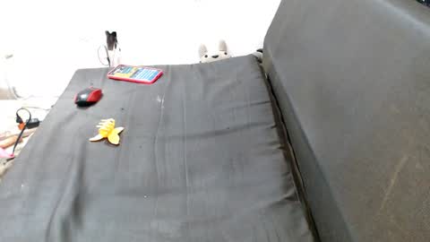 carol my sign is capricorn online show from 12.07.24