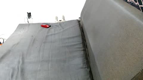 carol my sign is capricorn online show from 12.29.24