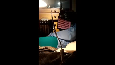 caryb online show from 02.24.26