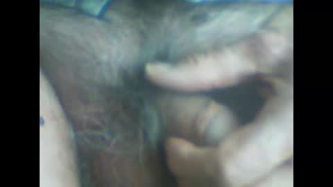 castells online show from 04.10.26