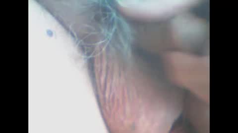 castells online show from 04.11.26