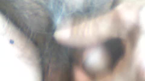 Snapshot of castells chatting on 06.14.26 castells online show from 06.14.26