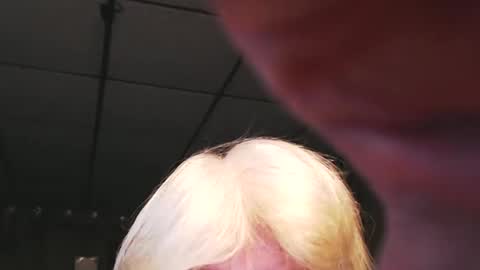 cat online show from 01.03.25