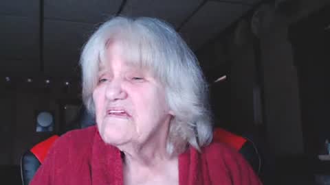 cat online show from 01.04.25