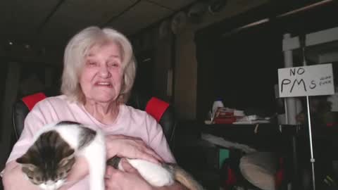 cat online show from 02.04.25