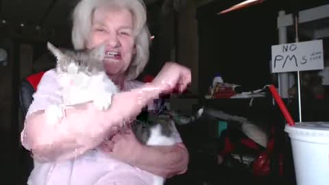 cat online show from 02.05.25