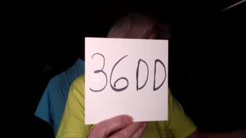 cat online show from 03.06.25