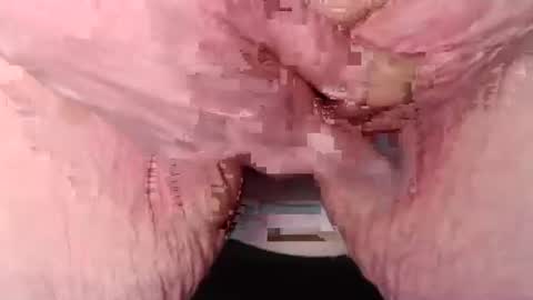 cat online show from 03.07.25