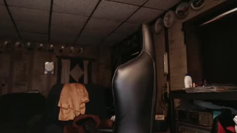 cat online show from 03.12.25