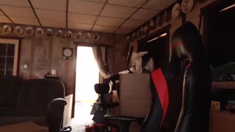 cat online show from 09.13.25