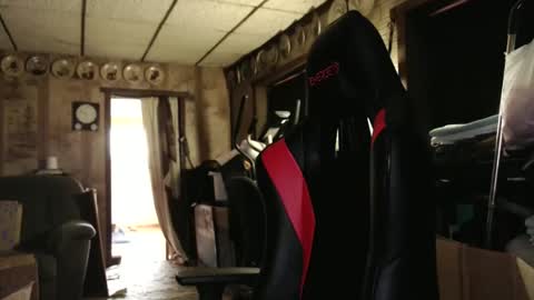 cat online show from 10.24.25