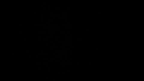 cata_n_cami online show from 12.21.24