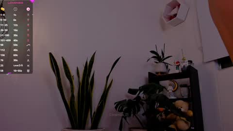 Snapshot of catalella_01 chatting on 01.06.25 MACARENA online show from 01.06.25