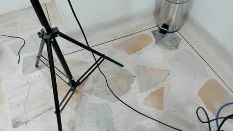 catalina ada online show from 03.11.25