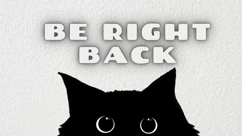 catalina online show from 02.20.26