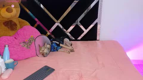 Catalina  online show from 03.10.26