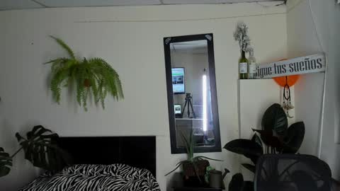 Cataina Lince online show from 12.22.24