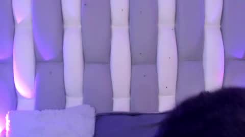 Cat  online show from 12.04.24