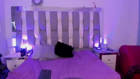 Cat  online show from 12.07.24