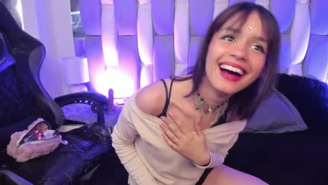 Cat  online show from 12.14.24