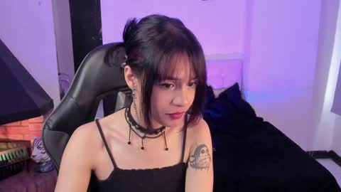 Cat  online show from 12.24.24