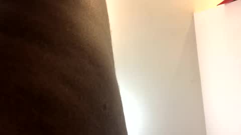 catpixel online show from 09.17.25