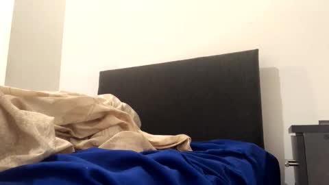 catpixel online show from 10.02.25