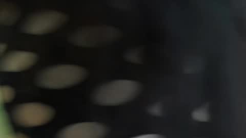 Snapshot of cattleyascaly chatting on 09.25.25 cattleyascaly online show from 09.25.25