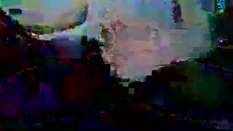 PureLeaf1990 online show from 01.05.25