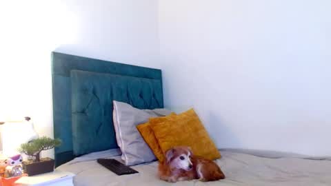 Cedrixx10 online show from 02.28.26