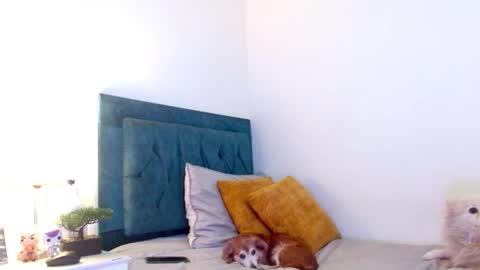 Cedrixx10 online show from 03.14.26