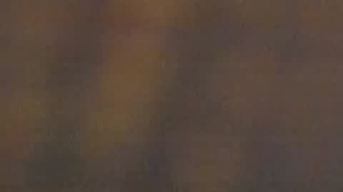 Snapshot of celestepink_jl chatting on 11.10.25 celestepink_jl online show from 11.10.25