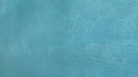 Celestial online show from 03.28.26