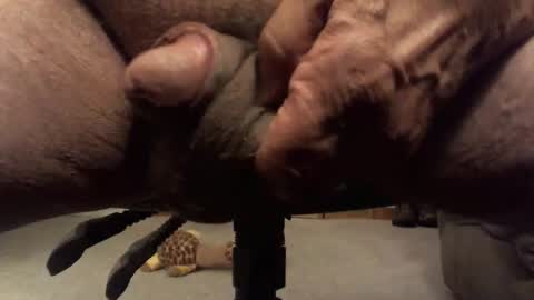 Snapshot of centaur629 chatting on 02.13.26 centaur629 online show from 02.13.26