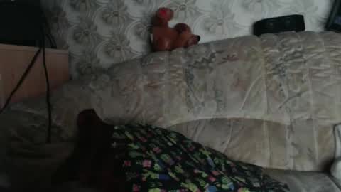 chacoa online show from 01.18.26