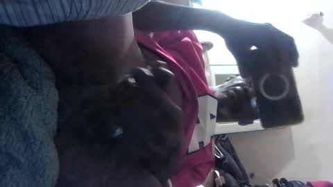 chalet49 online show from 09.15.25