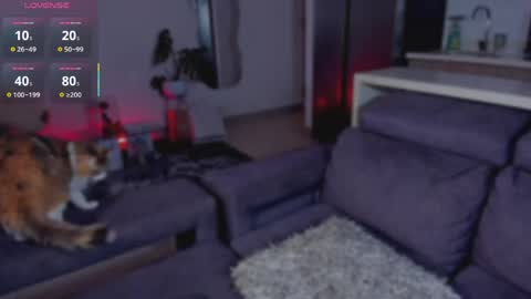  x online show from 06.07.26