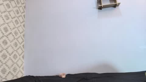 Raquel  online show from 03.10.25