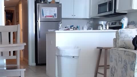 charleyandsmokie online show from 10.31.25