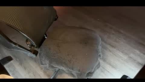 Snapshot of charlietango_live chatting on 11.12.25 CharlieTango Live online show from 11.12.25