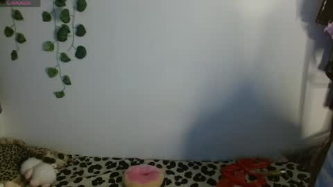 Snapshot of charlotbelucci_ chatting on 05.13.26 Ale punky online show from 05.13.26