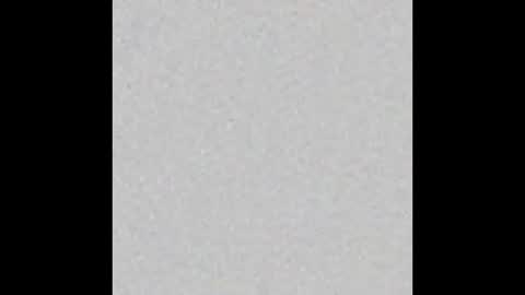 Charlotte online show from 11.08.25